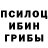 Псилоцибиновые грибы MAGIC MUSHROOMS Alim Sagitov