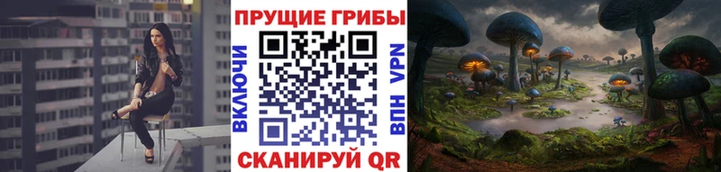 ссылка на мегу ссылка  Гремячинск  Галлюциногенные грибы MAGIC MUSHROOMS 